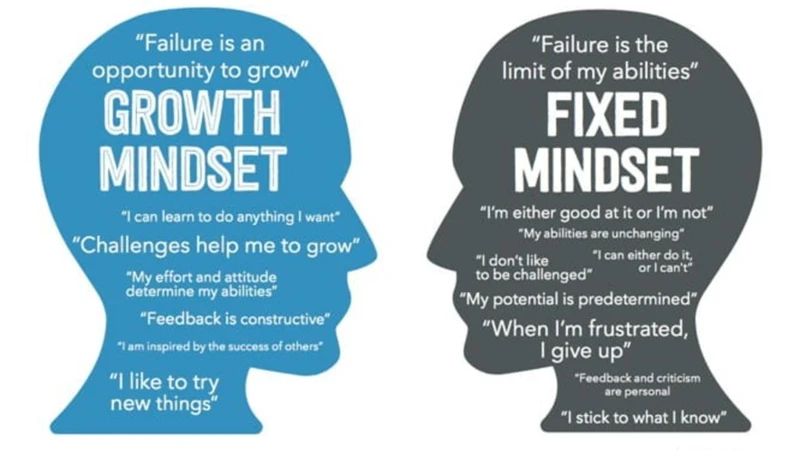 Cultivating A Growth Mindset For Professional Success