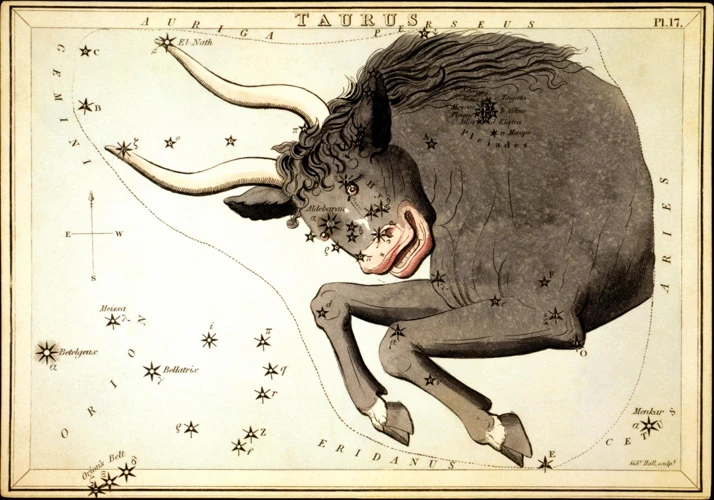 Taurus - The Bull