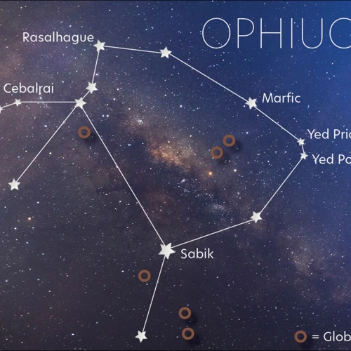 The Ophiuchus Role Models