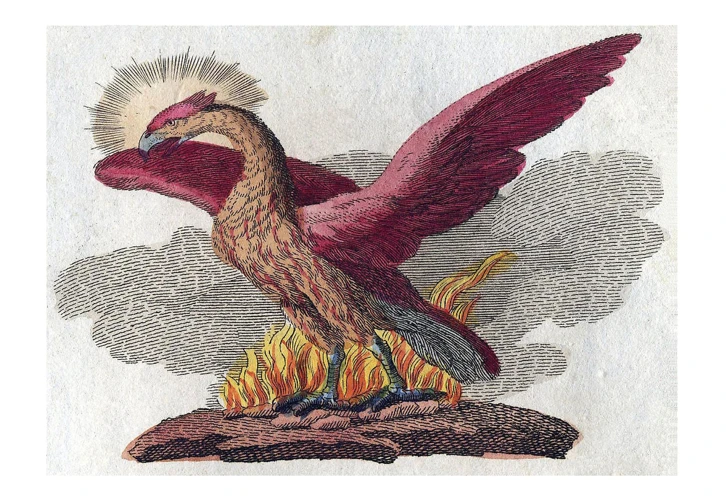 The Phoenix In Medieval European Mythology