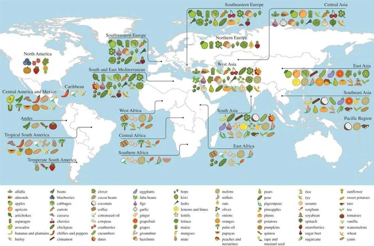 The Spread Of Agriculture Across Continents